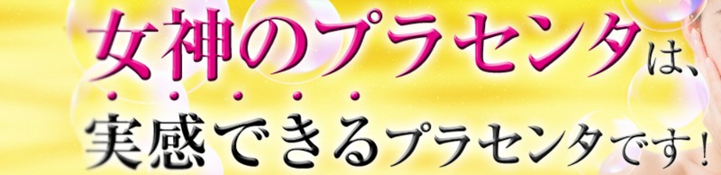 ���_�̃v���Z���^���T�C�g